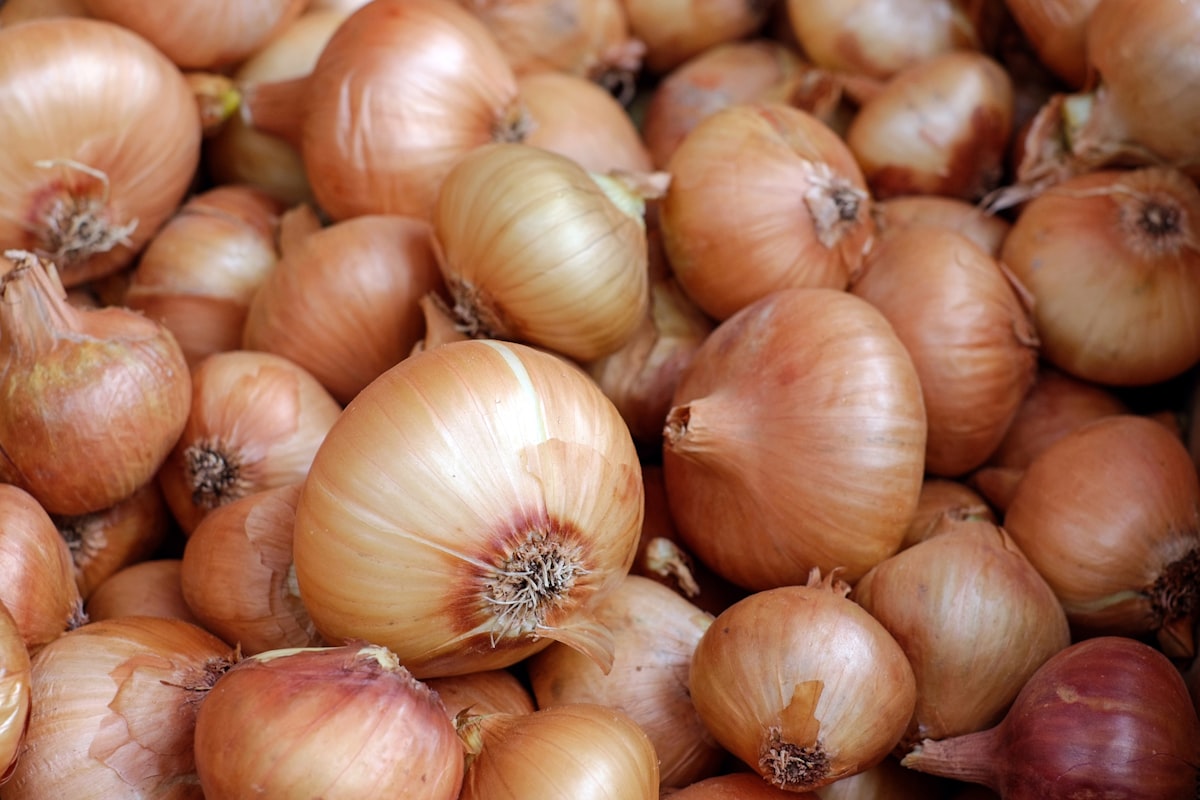 Yemeni Onions